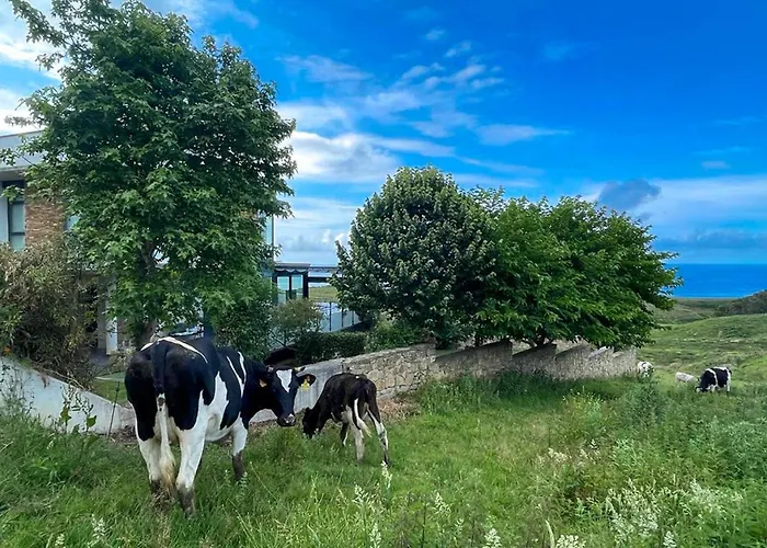 Hébergement de vacances Suances *
