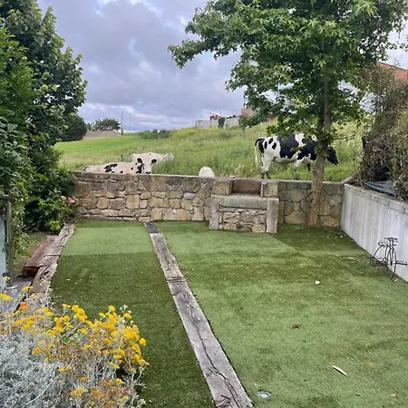 Suances * Тагле